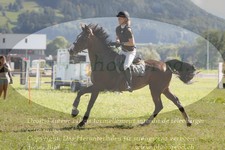 ref. photo 3289646