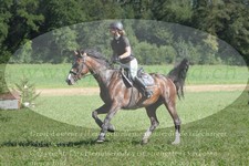 ref. photo 3289651