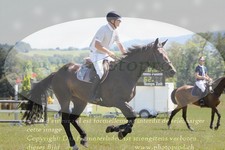 ref. photo 3289689