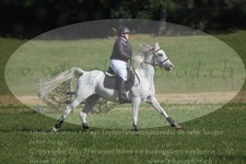 ref. photo 3289704
