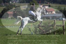 ref. photo 3289706