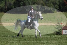 ref. photo 3289712