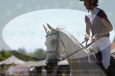 ref. photo 3289810
