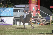 ref. photo 3289884