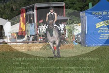 ref. photo 3289909