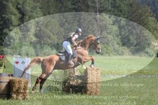 ref. photo 3289916