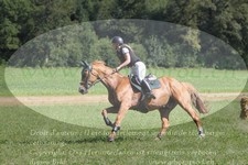 ref. photo 3289919