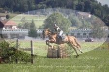 ref. photo 3289920