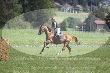 ref. photo 3289921