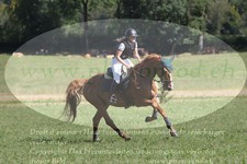 ref. photo 3289925