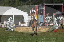 ref. photo 3289962