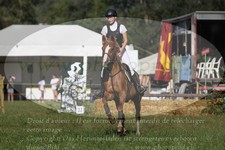 ref. photo 3289963