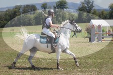 ref. photo 3289994