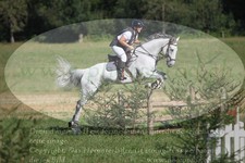 ref. photo 3290011