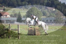 ref. photo 3290015