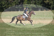 ref. photo 3290021