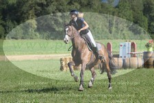 ref. photo 3290027