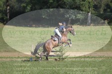 ref. photo 3290028