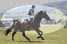 ref. photo 3290066