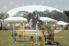 ref. photo 3290102