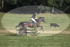 ref. photo 3290112