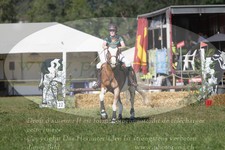 ref. photo 3290119