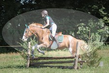 ref. photo 3290122
