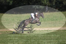 ref. photo 3290131