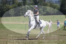 ref. photo 3290173