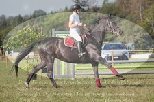 ref. photo 3290179