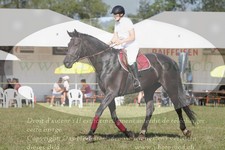 ref. photo 3290184