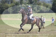 ref. photo 3290207