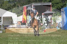 ref. photo 3290268