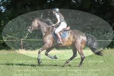 ref. photo 3290290