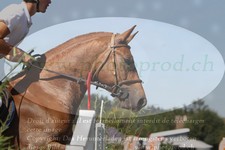 ref. photo 3290299