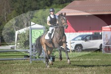 ref. photo 3290310