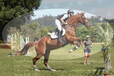 ref. photo 3290323