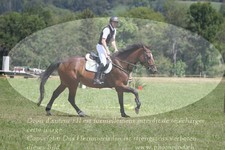 ref. photo 3290345