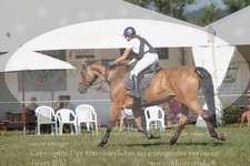 ref. photo 3290351