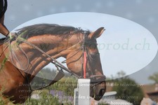 ref. photo 3290352