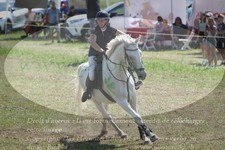 ref. photo 3290389