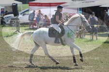 ref. photo 3290395