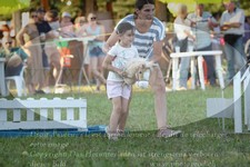 ref. photo 3290549