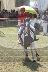 ref. photo 3290806