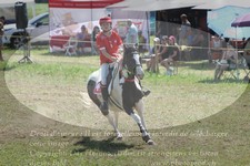 ref. photo 3290813