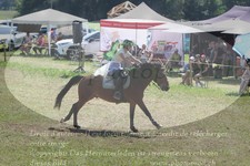 ref. photo 3290829