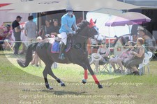 ref. photo 3290842