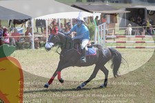 ref. photo 3290847