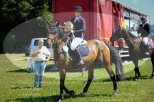 ref. photo 3290910