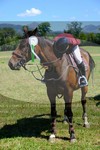 ref. photo 3290999